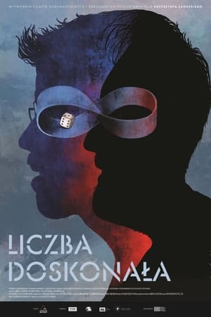 Poster Liczba doskonała 2022