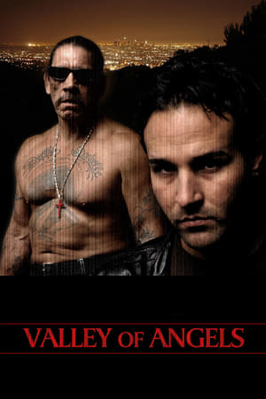 Poster Valley of Angels (2008)