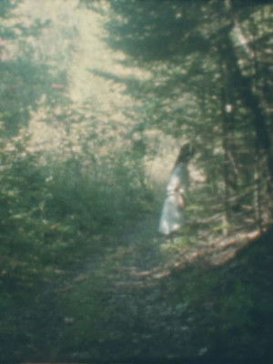 To the Forest (2026)