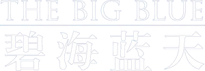 The Big Blue — Logos 5