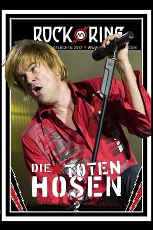 Die Toten Hosen - Rock am Ring poster