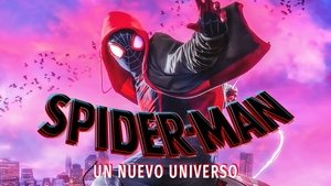 Spider-Man: into the Spider Verse 2018