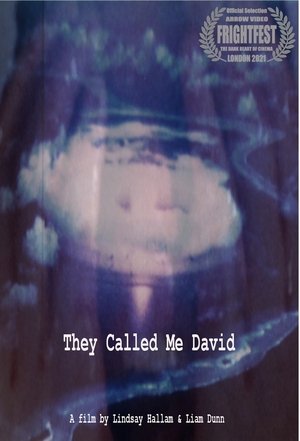 Poster They Called Me David (2021)