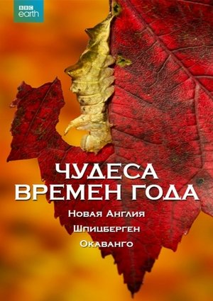 Image Чудеса времён года