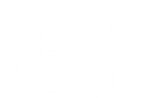 权宠 — Logos 2