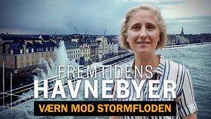 Fremtidens havnebyer - værn mod stormfloden