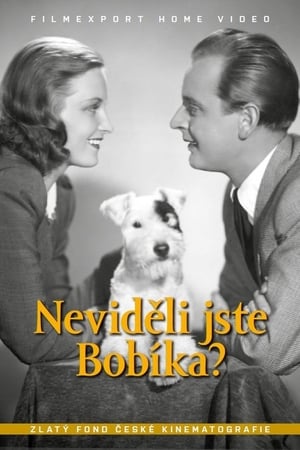 Neviděli jste Bobíka? poster