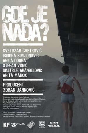 Poster Где је Нађа? 2013