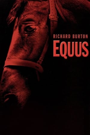 Poster Equus 1977