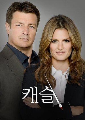 Image 캐슬
