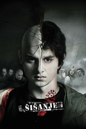 Poster Шишање 2010