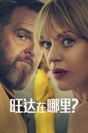 旺达在哪里？ 海报