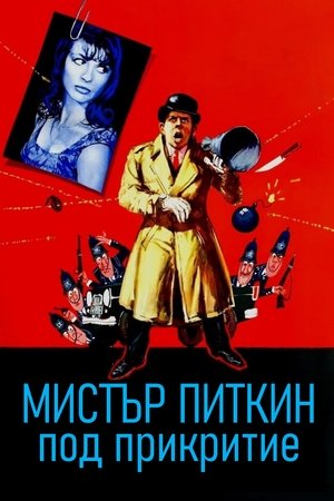 Image Мистър Питкин под прикритие