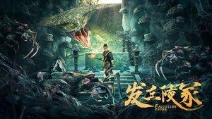 发丘陵冢 ( 2024 )