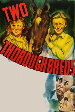 Poster Two Thoroughbreds (1939)