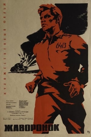 Poster The Lark (1964)