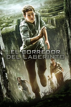 Image El corredor del laberinto