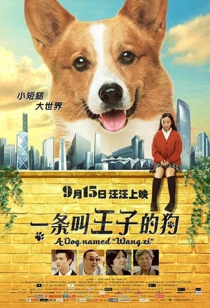 Poster A Dog Named Wang Zi (2016)