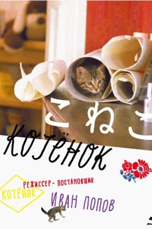 Poster Котёнок 1996