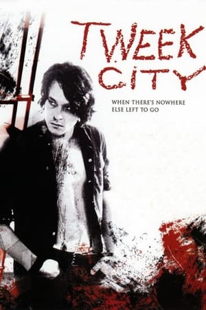 Poster Tweek City 2005