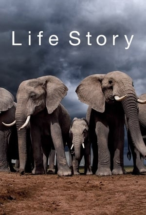 Poster Life Story 2014