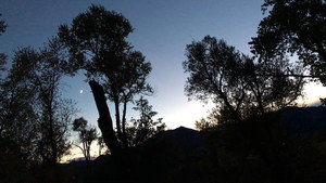 Same Skies 2