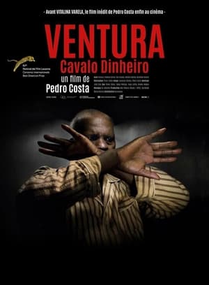Poster Ventura 2014