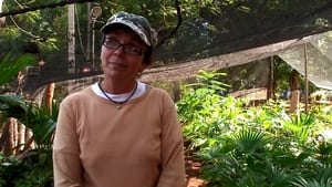 Agroecología en Cuba film complet