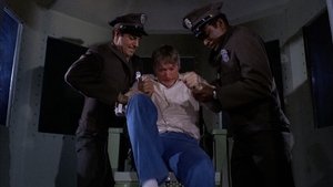 The Execution