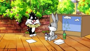 Baby Looney Tunes Present Tense