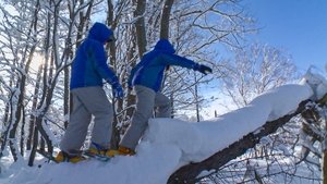 Journeys in Japan: 12×5