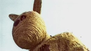 Miś