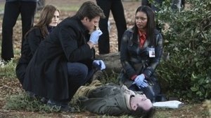 Castle Staffel 3 Folge 8