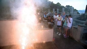 Journeys in Japan: 15×20