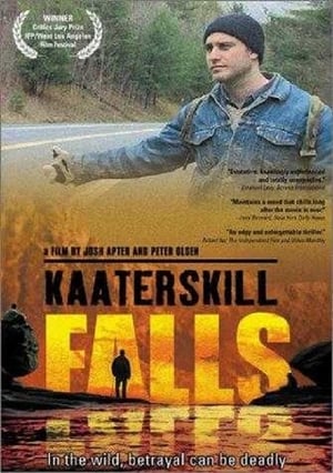 Poster Kaaterskill Falls 2001