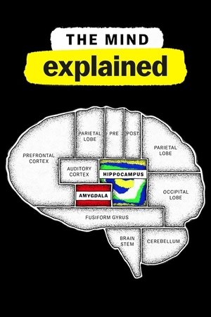 The Mind, Explained: Kausi 2