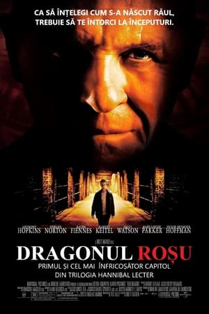 Poster Dragonul Roșu 2002