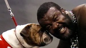 Wrestling Challenge - Dec. 20, 1986 | StreamHub