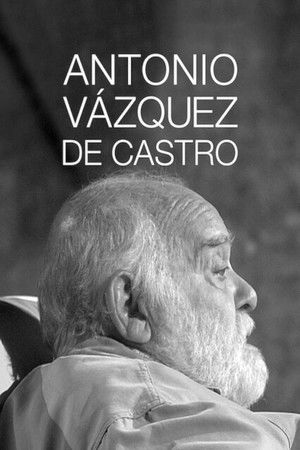 Antonio V&aacute;zquez de Castro