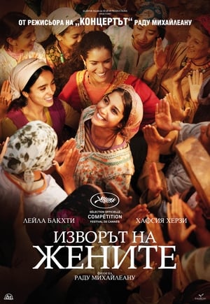 Poster Изворът на жените 2011