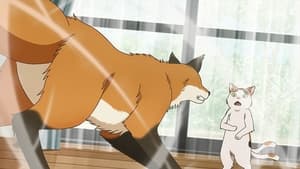 Tonari no Yokai-san: Episódio: 5 da 1ª Temporada