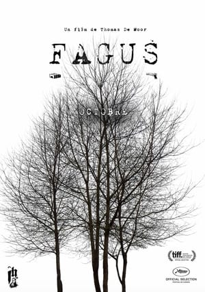 Image Fagus