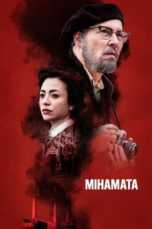 Poster Мінамата 2020