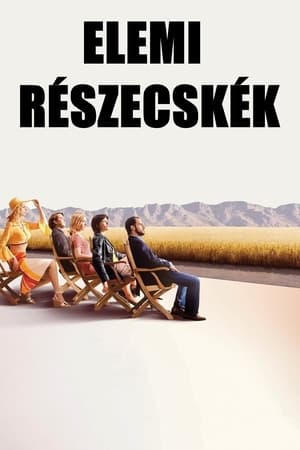 Elemi részecskék 2006