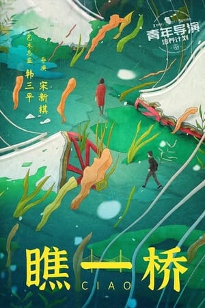 Poster 瞧一桥 