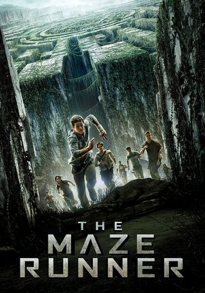 poster The Maze Runner