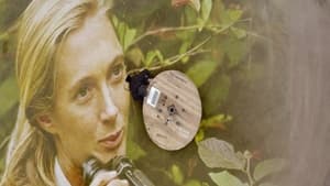 Jane Goodall : Comment sauver les animaux film complet