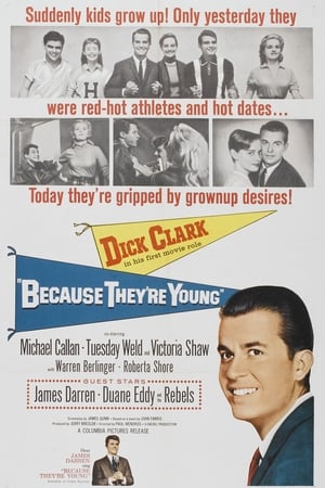 Because They're Young poster