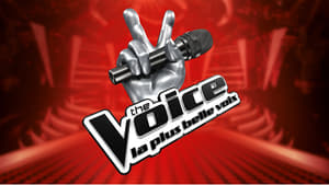 The Voice : La Plus Belle Voix