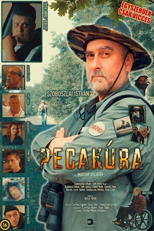 Image Pecakúra